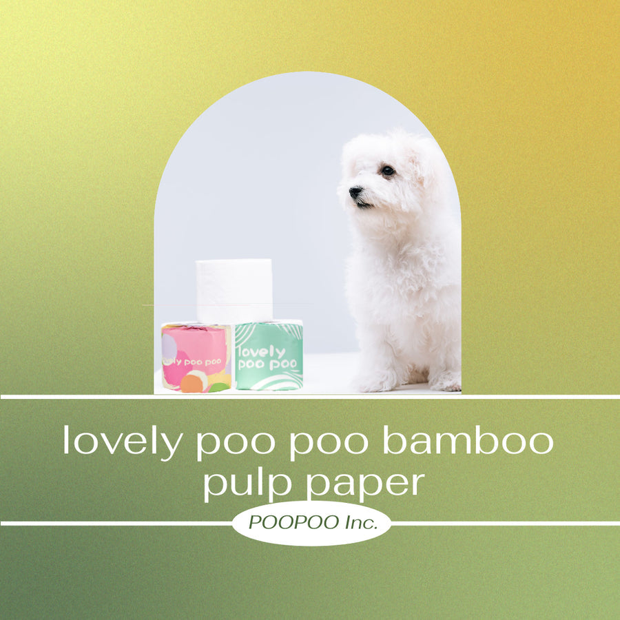 Why Lovely Poo Poo Bamboo Pulp Paper Is Environmental Protection And Health?